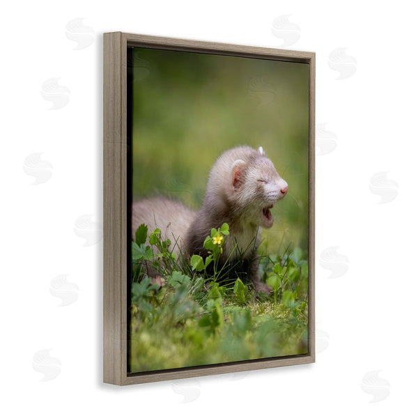 Stupell Industries Darya Zelentsova | Baby Ferret In Grass Wall Art