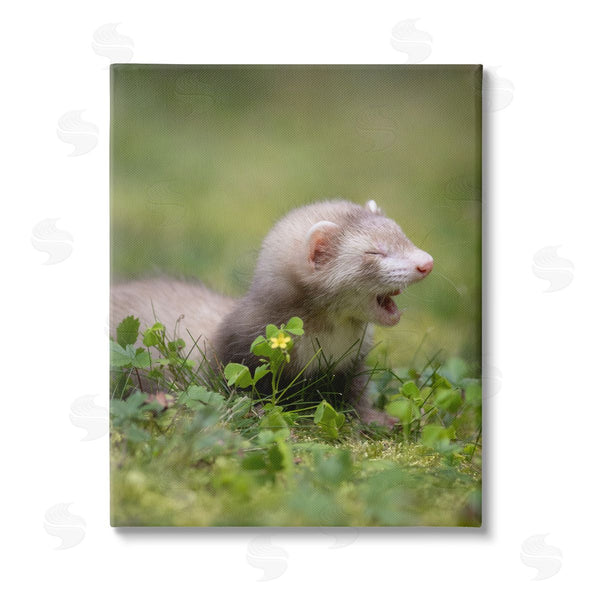 stupell industries Darya Zelentsova | Baby Ferret in Grass Wall Art