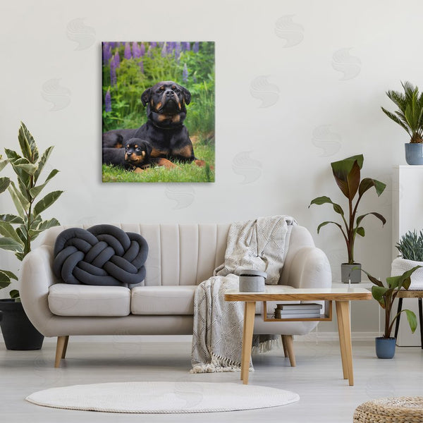 Stupell Industries Darya Zelentsova | Rott Puppies In Meadow Wall Art