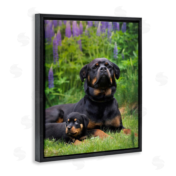Stupell Industries Darya Zelentsova | Rott Puppies In Meadow Wall Art