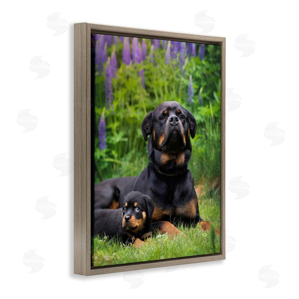 Stupell Industries Darya Zelentsova | Rott Puppies In Meadow Wall Art