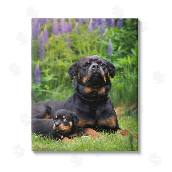 stupell industries Darya Zelentsova | Rott Puppies in Meadow Wall Art