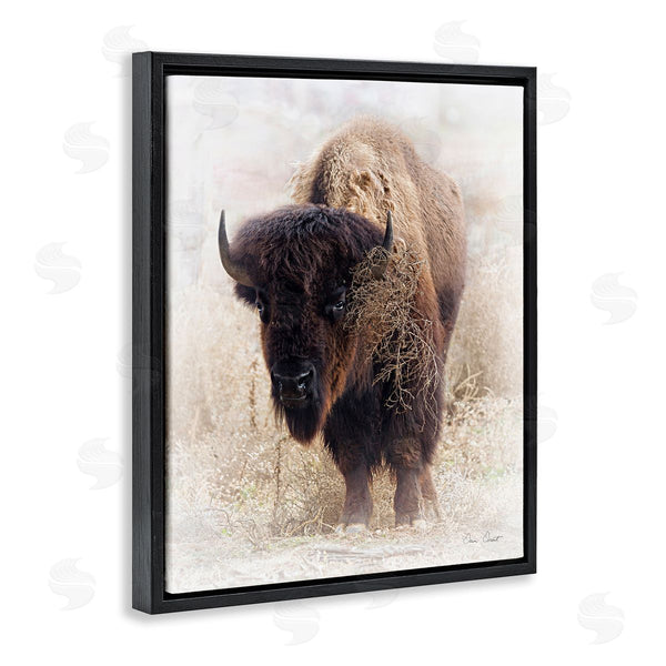 Stupell Industries David Drost | Bison Grazing Photography Wall Art
