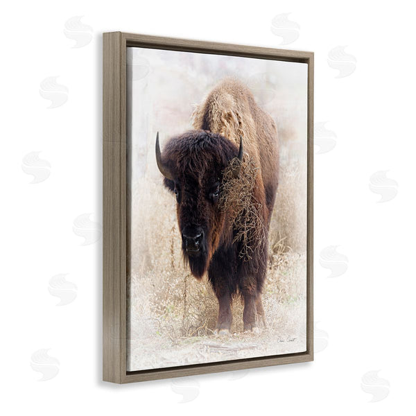 Stupell Industries David Drost | Bison Grazing Photography Wall Art