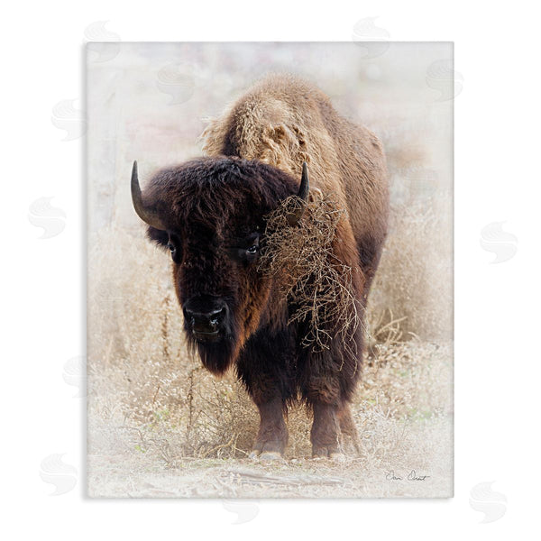 stupell industries David Drost | Bison Grazing Photography Wall Art