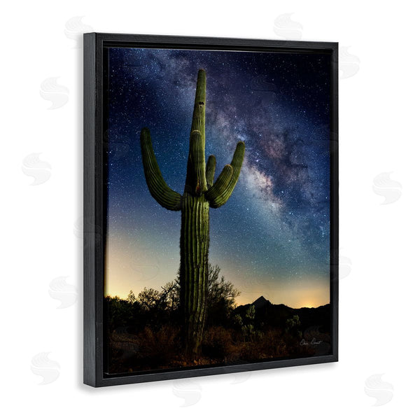 Stupell Industries David Drost | Cactus & Nebula Photography Wall Art