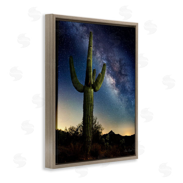 Stupell Industries David Drost | Cactus & Nebula Photography Wall Art