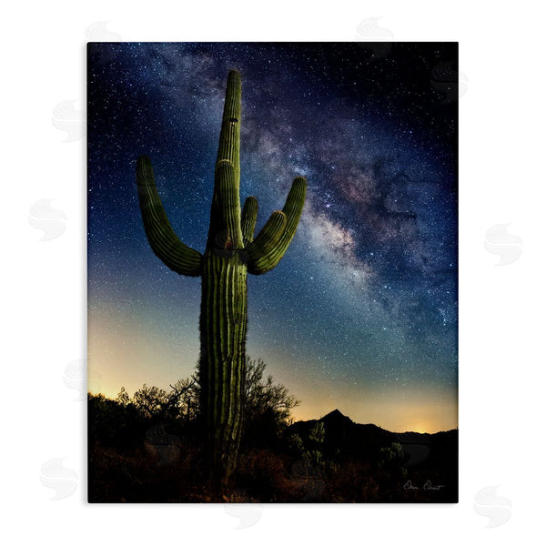 stupell industries David Drost | Cactus & Nebula Photography Wall Art