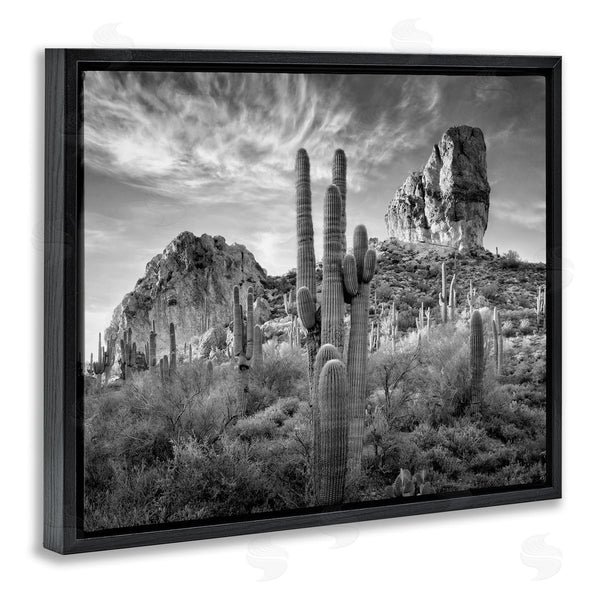 Stupell Industries David Drost | Looming Cacti & Canyon View