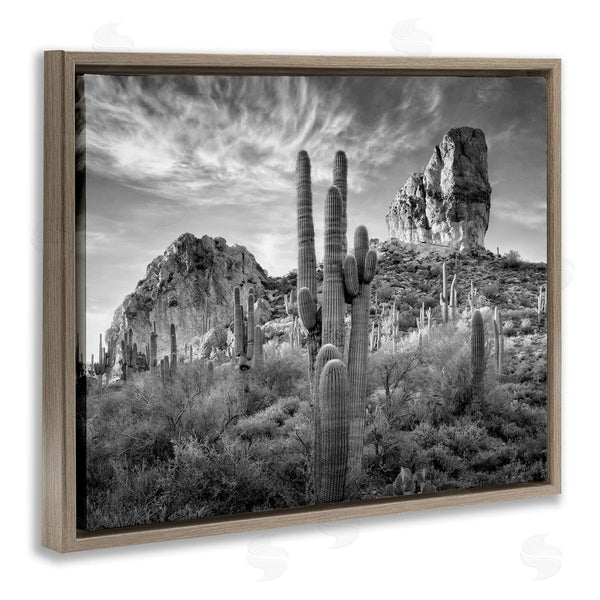 Stupell Industries David Drost | Looming Cacti & Canyon View