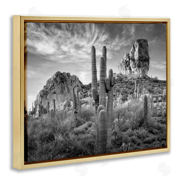 Stupell Industries David Drost | Looming Cacti & Canyon View