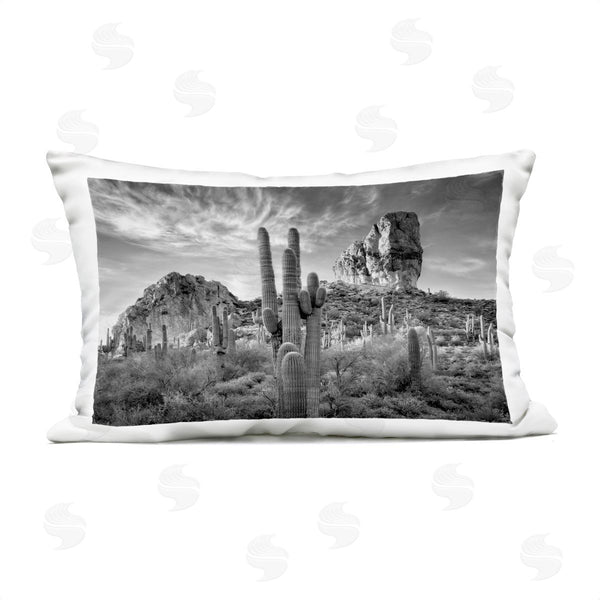 Stupell Industries David Drost | Looming Cacti & Canyon View Printed Throw Pillow