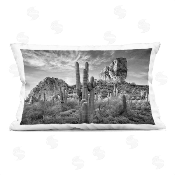 stupell industries David Drost | Looming Cacti & Canyon View Printed Throw Pillow