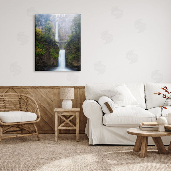 Stupell Industries David Drost | Waterfall Bridge Photography Wall Art