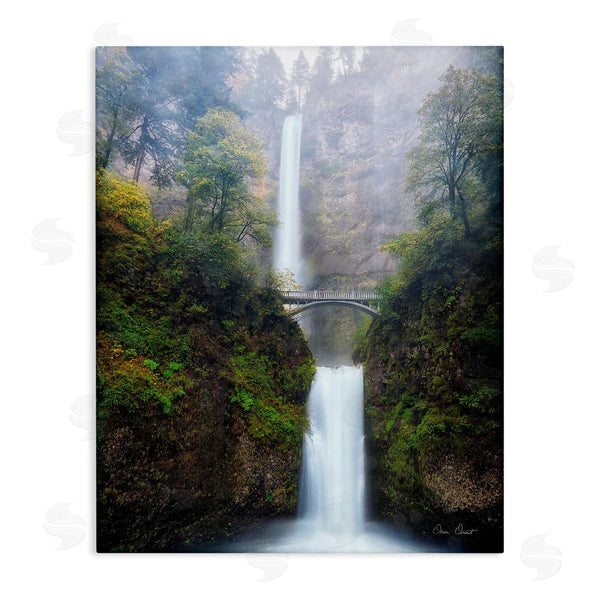 stupell industries David Drost | Waterfall Bridge Photography Wall Art