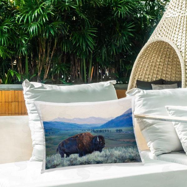 Stupell Industries David Graham | Bison & Country Mountains