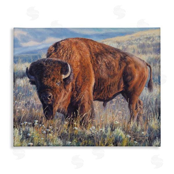 stupell industries David Graham | Bison Grazing on Prairie Wall Art