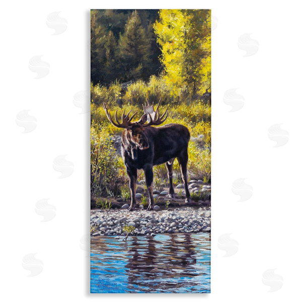 stupell industries David Graham | Early Summer Moose At Lake Wall Art