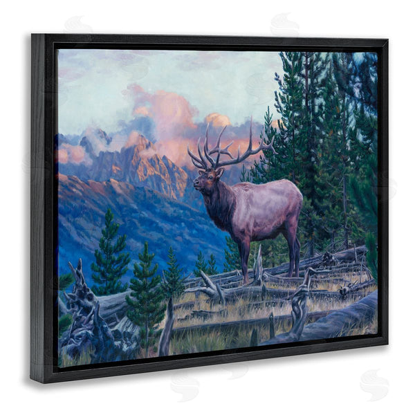 Stupell Industries David Graham | Elk Forest Mountain Morning Animal