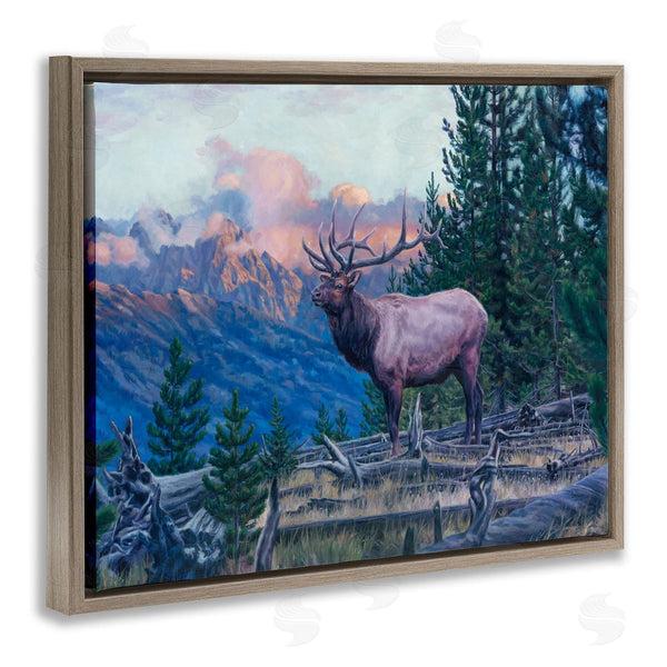 Stupell Industries David Graham | Elk Forest Mountain Morning Animal
