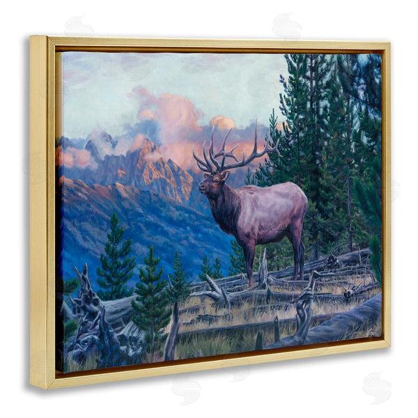 Stupell Industries David Graham | Elk Forest Mountain Morning Animal