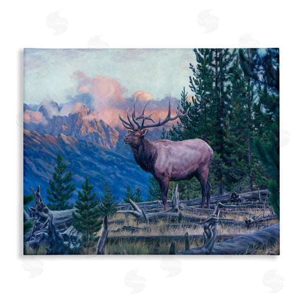 stupell industries David Graham | Elk Forest Mountain Morning Animal