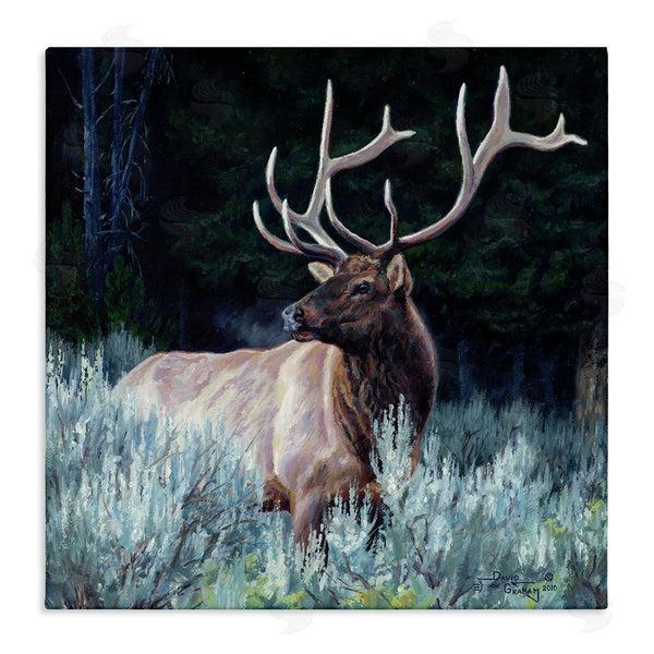 stupell industries David Graham | Elk in Forest Painting Wall Art