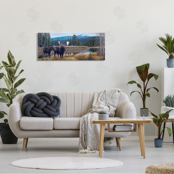 Stupell Industries David Graham | Moose In River Mountain Scene Wall Art