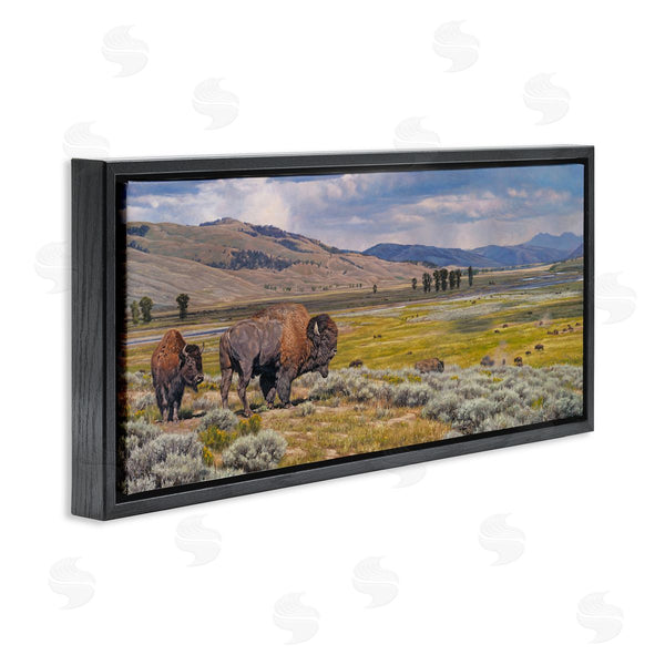 Stupell Industries David Graham | Roaming Southwestern Bison Wall Art