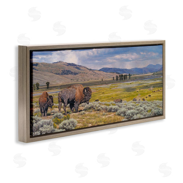 Stupell Industries David Graham | Roaming Southwestern Bison Wall Art