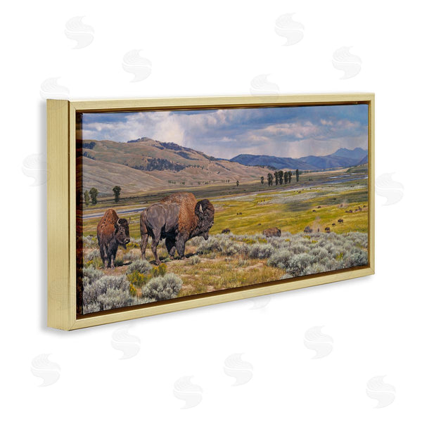 Stupell Industries David Graham | Roaming Southwestern Bison Wall Art