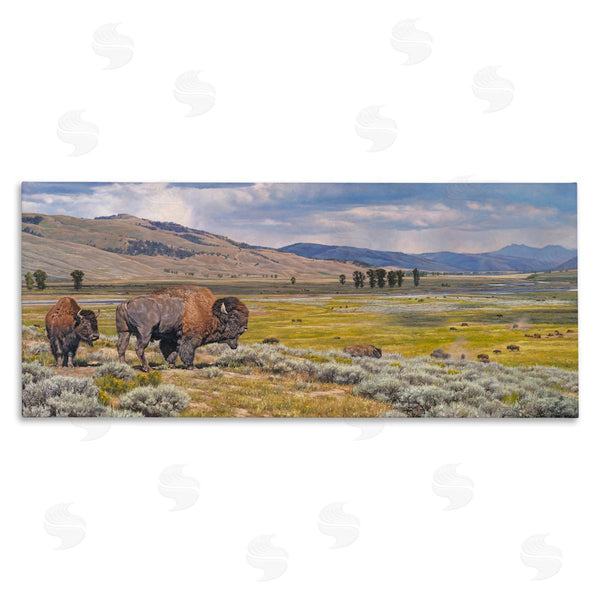stupell industries David Graham | Roaming Southwestern Bison Wall Art