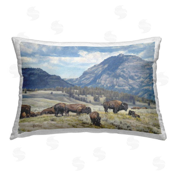 Stupell Industries David Graham | Sunny Afternoon Bison