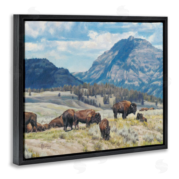 Stupell Industries David Graham | Sunny Afternoon Bison