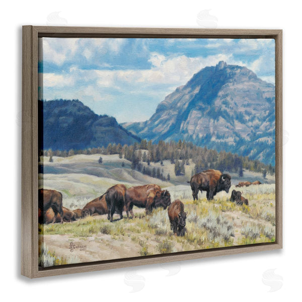 Stupell Industries David Graham | Sunny Afternoon Bison