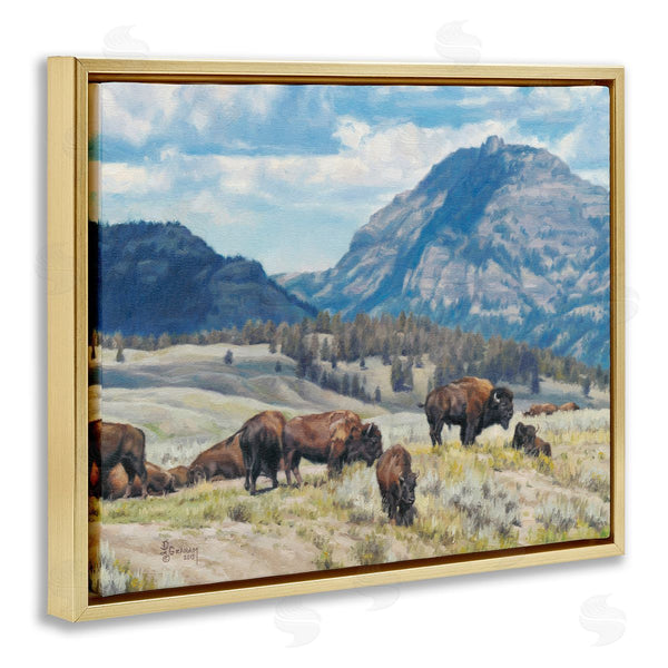 Stupell Industries David Graham | Sunny Afternoon Bison