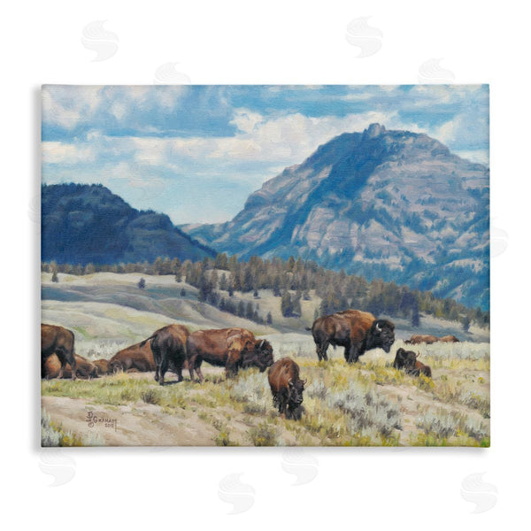 stupell industries David Graham | Sunny Afternoon Bison