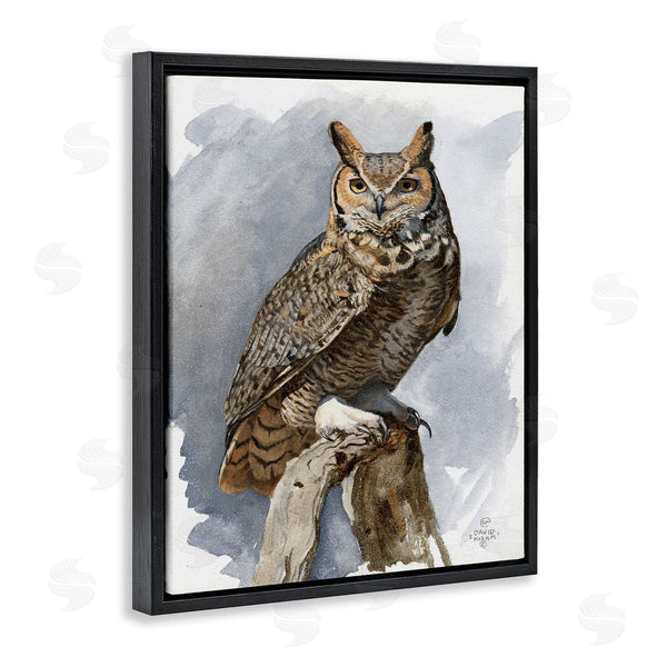 Stupell Industries David Kiehm | Horned Owl Perched Wall Art