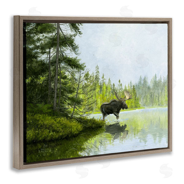 Stupell Industries David Kiehm | Moose In Woodland Pond Wall Art