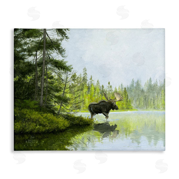 stupell industries David Kiehm | Moose in Woodland Pond Wall Art