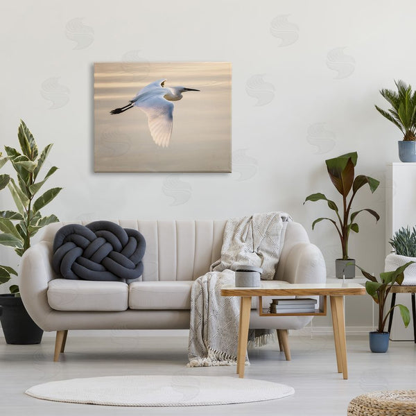 Stupell Industries David Lorenz | Egret Gliding Aerial View Wall Art