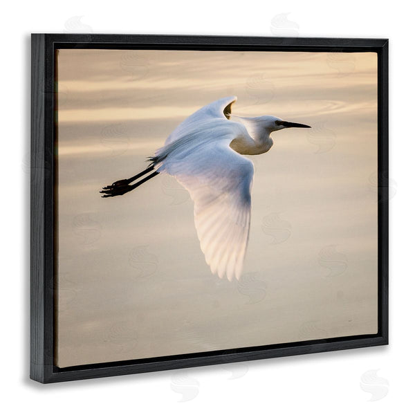 Stupell Industries David Lorenz | Egret Gliding Aerial View Wall Art
