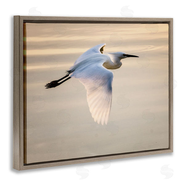 Stupell Industries David Lorenz | Egret Gliding Aerial View Wall Art