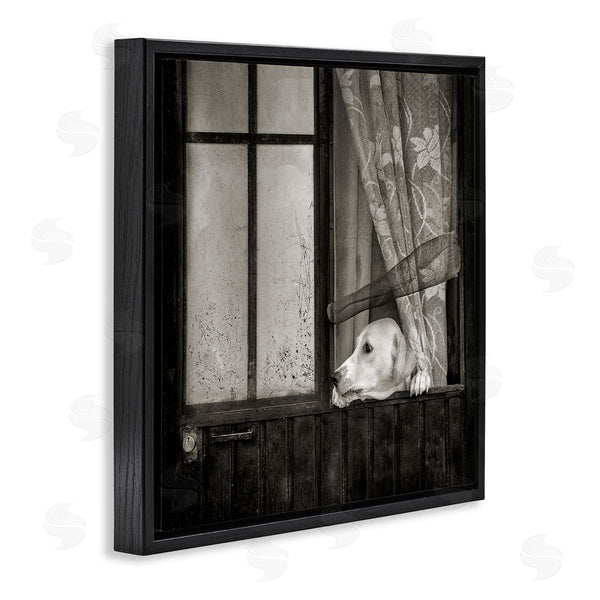 Stupell Industries David Lorenz | Labrador Dog Farmhouse Barn Door Wall Art