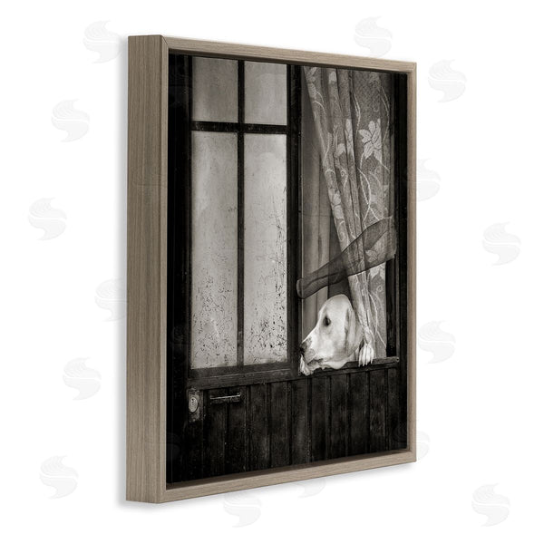 Stupell Industries David Lorenz | Labrador Dog Farmhouse Barn Door Wall Art