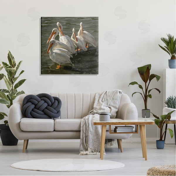 Stupell Industries David Lorenz | Pelican Birds Standing Shallow Water Wall Art