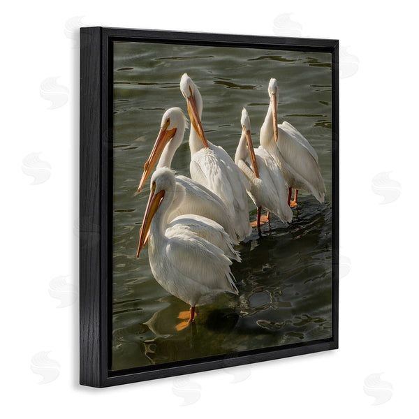 Stupell Industries David Lorenz | Pelican Birds Standing Shallow Water Wall Art