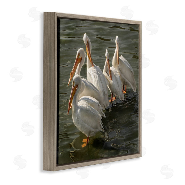 Stupell Industries David Lorenz | Pelican Birds Standing Shallow Water Wall Art