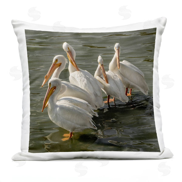 Stupell Industries David Lorenz | Seaside Pelicans Preening Printed Throw Pillow