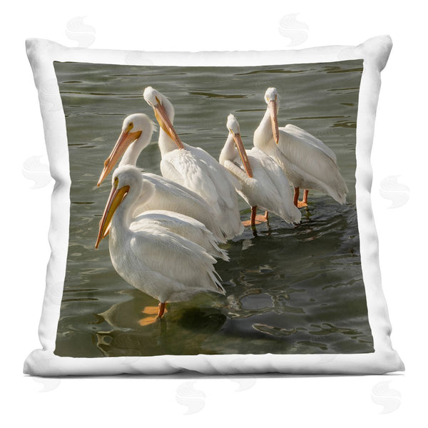 stupell industries David Lorenz | Seaside Pelicans Preening Printed Throw Pillow
